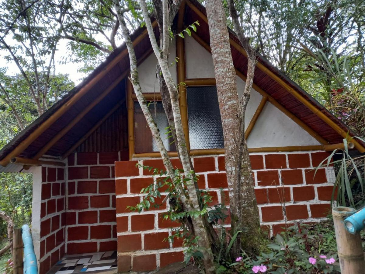 Eco Hotel Manu Viajeros Сан-Агустин Экстерьер фото